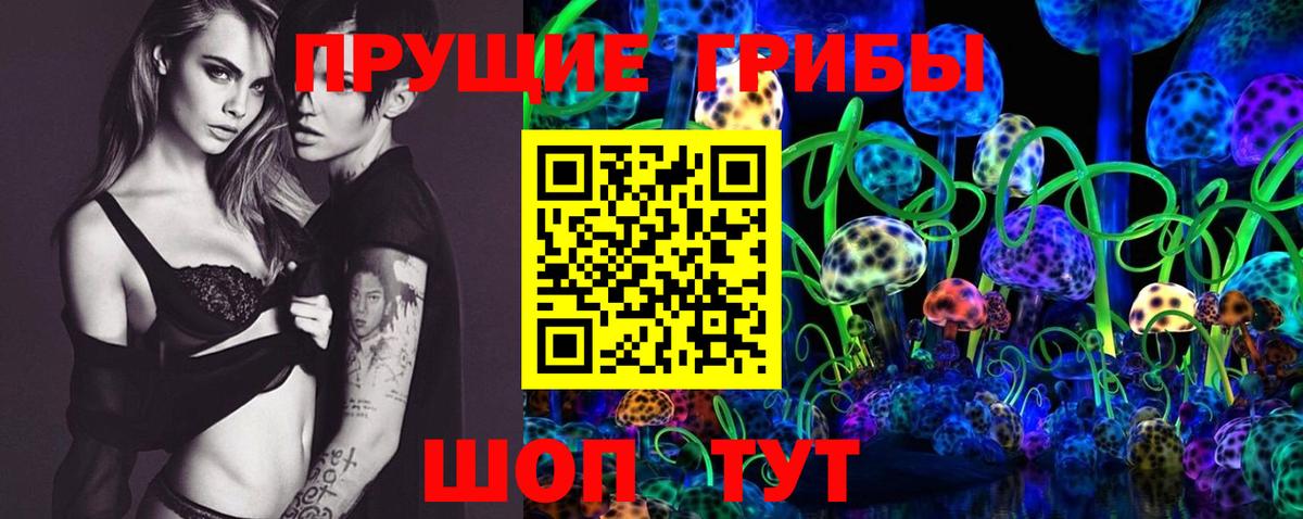 Сергиев Посад  купить  цена  Вход с VPN  Галлюциногенные грибы Psilocybe 