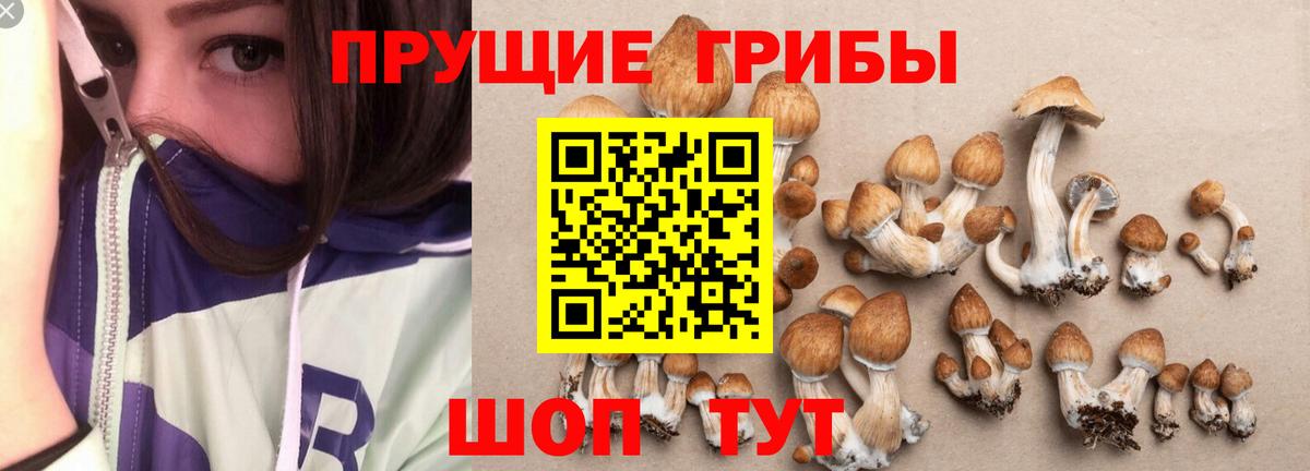 Псилоцибиновые грибы ЛСД Сергиев Посад